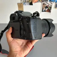دوربین canon 80d تمیز با لنز 18-135|دوربین عکاسی و فیلمبرداری|ساری, |دیوار
