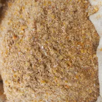 خوراک دام گاو گوسفند کنسانتره