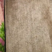 پالاز موکت سالم و در حد نو|موکت|قم, هفت تیر|دیوار