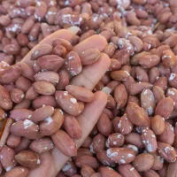 بادام زمینی