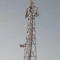 استخدام نیروی کار ساده و دکلبند