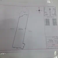 زمین 500 متری کوچصفهان . روستای گیلوا دشتان