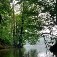 تور شمال ویژه تعطیلات بهمن