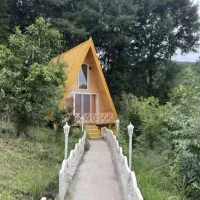 اجاره کلبه سویسی استخر دار جنگلی