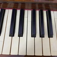 فروش پیانو|پیانو، کیبورد، آکاردئون|بندرعباس, |دیوار