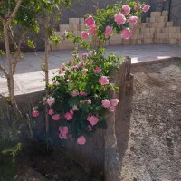 خانه فروشی