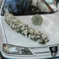 ماشین عروس پارس