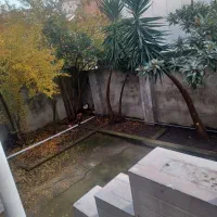 گل وگیاه|گل و گیاه طبیعی|تالش, هشتپر|دیوار