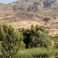 فروش باغ گردو|فروش خانه و ویلا|الشتر, |دیوار