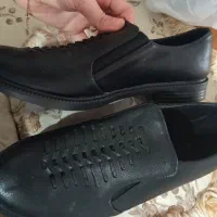 کفش نو نو|کیف، کفش، کمربند|قم, پردیسان|دیوار