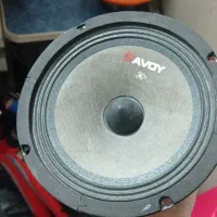 میترنج|صوتی و تصویری|همدان, |دیوار