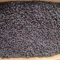 کشمش یاقوتی فروشی