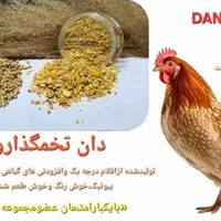 خوراک دان مرغ بومی وصنعتی|لوازم جانبی حیوانات|کرج, آق تپه|دیوار