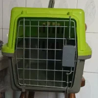 باکس حمل گربه سالم و دیگر وسایل ضروری