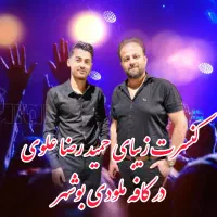 کنسرت حمیدرضا علوی در بوشهر