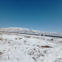 دامداری وکارگر