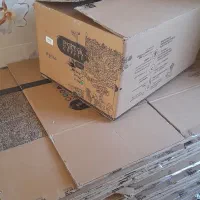 کارتن جهت بسته بندی|عمدهفروشی|شیراز, فرگاز|دیوار