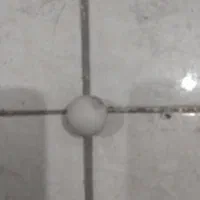 سنگ آسیاب|جواهرات|مشهد, شهید شهریاری|دیوار