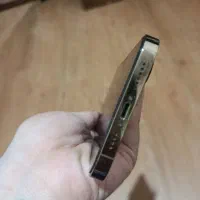 iphone 12 promax gold|موبایل|پرند, فاز ۵|دیوار