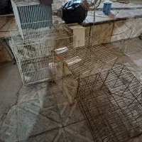 قفس‌ بزرگ و کوچیک