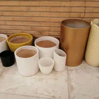 تعدادی گلدان بزرگ و کوچک|گل و گیاه طبیعی|اهواز, پردیس|دیوار