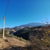 خانه باغ|فروش خانه و ویلا|توتکابن, |دیوار