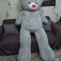 خِرس شاسخین|اسباببازی|رشت, گلسار|دیوار