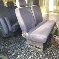 نارون تمیز و سالم