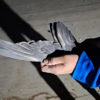 کفتر|پرنده|شهریار, شهریار|دیوار