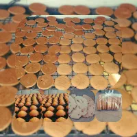 کیک یزدی زعفرانی / کسمه زنجبیلی کهک|خوردنی و آشامیدنی|قم, گلزار|دیوار