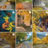 پیج 276|لوازم جانبی موبایل و تبلت|کرج, دولت‌آباد|دیوار