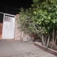 اجاره روزانه/هفتگی/ماهانه آپارتمان ۱۰۰ متری|اجارهٔ کوتاه‌مدت آپارتمان و سوئیت|یزد, |دیوار