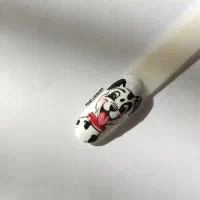 انجام خدمات تخصصی کاشت/ترمیم/کاور/لمینت/ژلیش|خدمات آرایشگری و زیبایی|نورآباد ممسنی, |دیوار