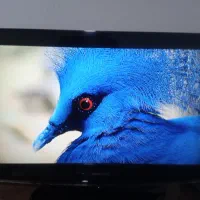 تلوزیون 32اینچ سامسونگ.