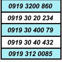 0919.399.499.2|سیمکارت|تهران, امام حسین|دیوار