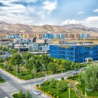 اشپزی و امور منزل دو روز در هفته