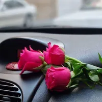 گمشده کارت بانکی وکارت ملی