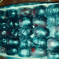 خرما|عمده‌فروشی|هیدوچ, |دیوار