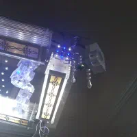 لوستر مدرن|لوستر و چراغ آویز|فردیس, فردیس|دیوار