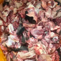 غذای سگ گوشت قرمز گوساله