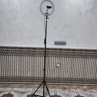 رینگ لاست