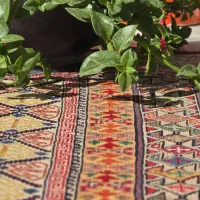 گلیم شیرکی پیچ سیرجان|گلیم، جاجیم، گبه|سیرجان, |دیوار