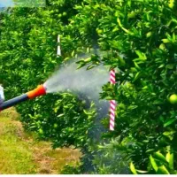 سم پاشی انواع درختان میوه