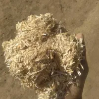 کاه گندم امسال