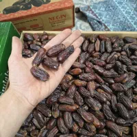 خرمای سیستان و بلوچستان