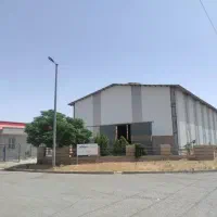 نقاش روزمزد