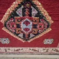 دارقالی باقالی ۵۰ درصدبافته شده|فرش|جهرم, |دیوار