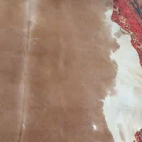 پوست گاو|صنایع دستی و سایر لوازم تزئینی|تهران, ارامنه|دیوار