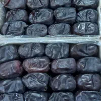 خرمای مجالس و مراسمات