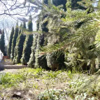 ویلا منطقه ییلاقی کندلوس|فروش خانه و ویلا|کجور, |دیوار